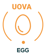 uova allergeni